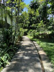 clementi-park photo thumbnail #1